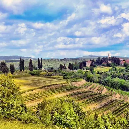 Villa Mare - A Natural Paradise Near Motovun Brkac