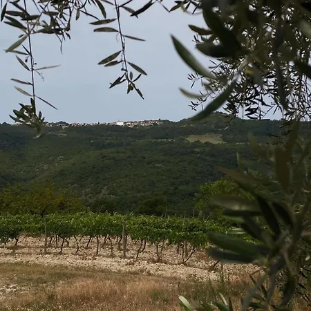 Villa Mare - A Natural Paradise Near Motovun *