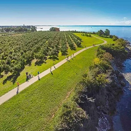 Mare - A Natural Paradise Near Motovun Villa